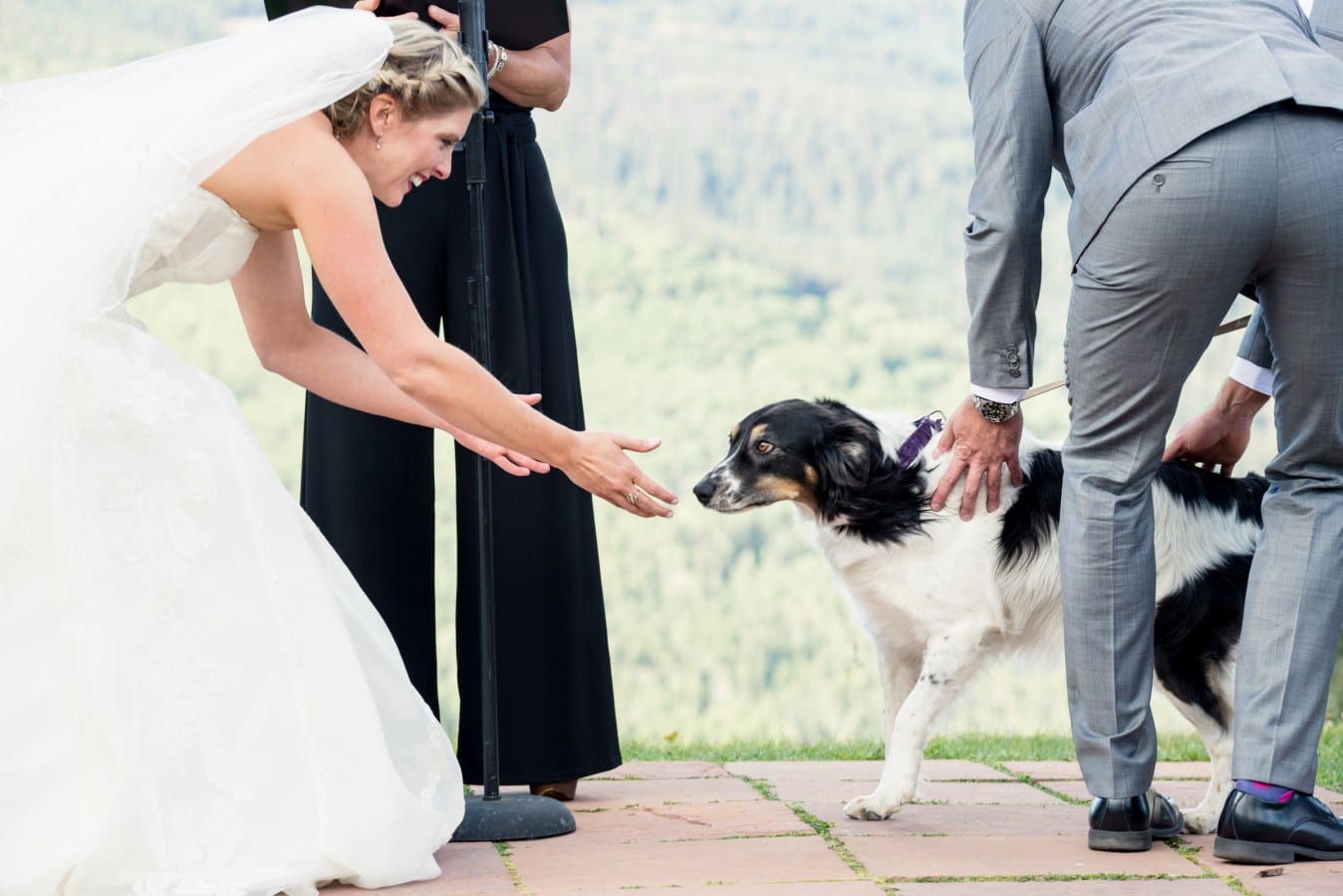 Our Favorite Wedding Moments: Summer 2015 | From the Hip Photo
