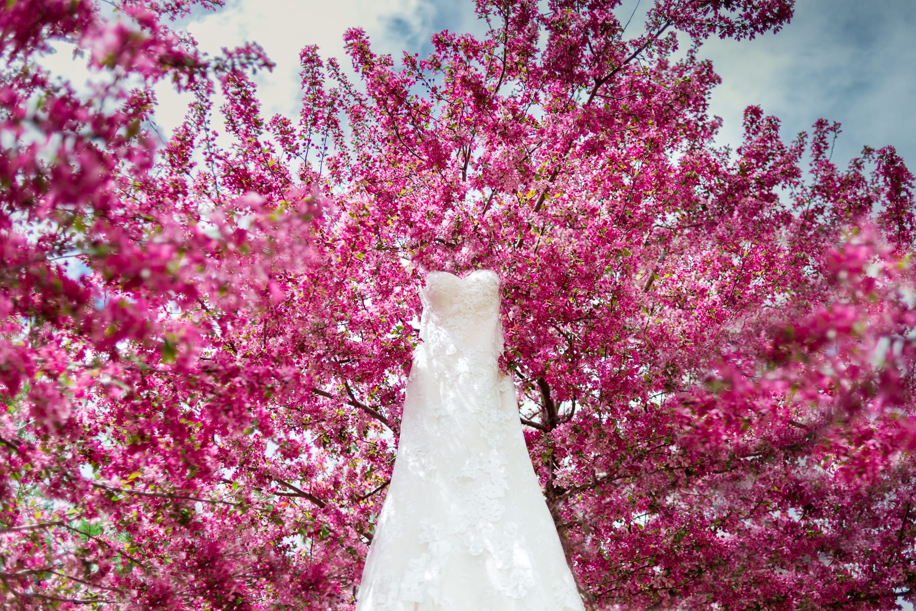 Elisabeth & Gavin | The Retreat at Solterra Wedding Photography | From the Hip Photo