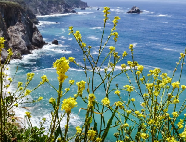 A West Coast Photo Adventure | From the Hip Photo Summer Interns