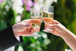 Anji & Robert | Indian Garden Wedding Photography | From the Hip Photography