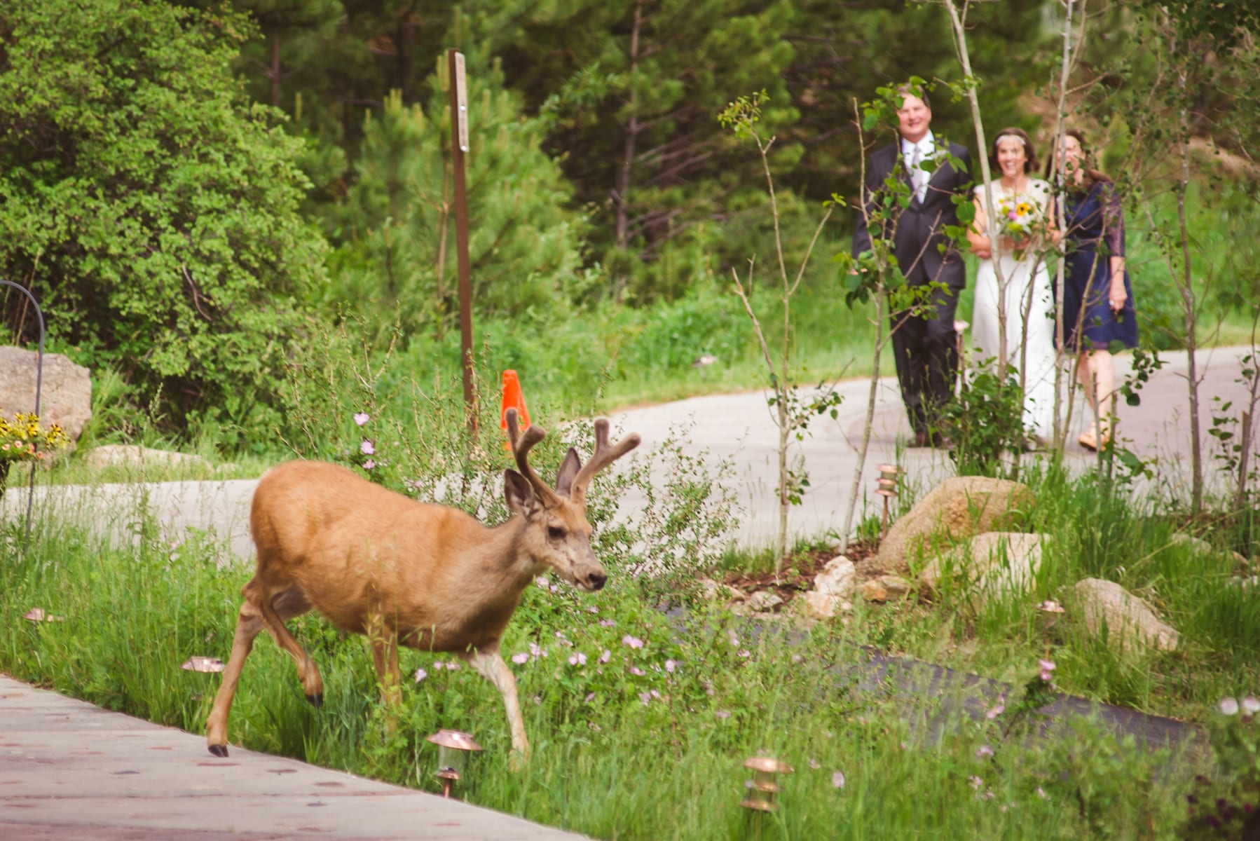 How From the Hip Captures Candid Moments | Candid Photography | Wedding Photography | From the Hip Photo