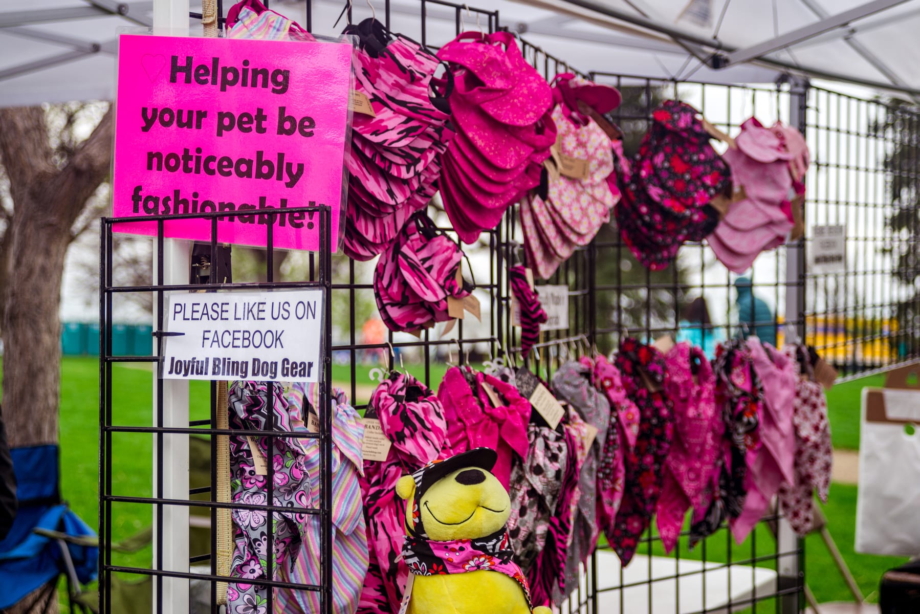 Furry Scurry 2016 | Pet Photography | Event Photography | From the Hip Photo