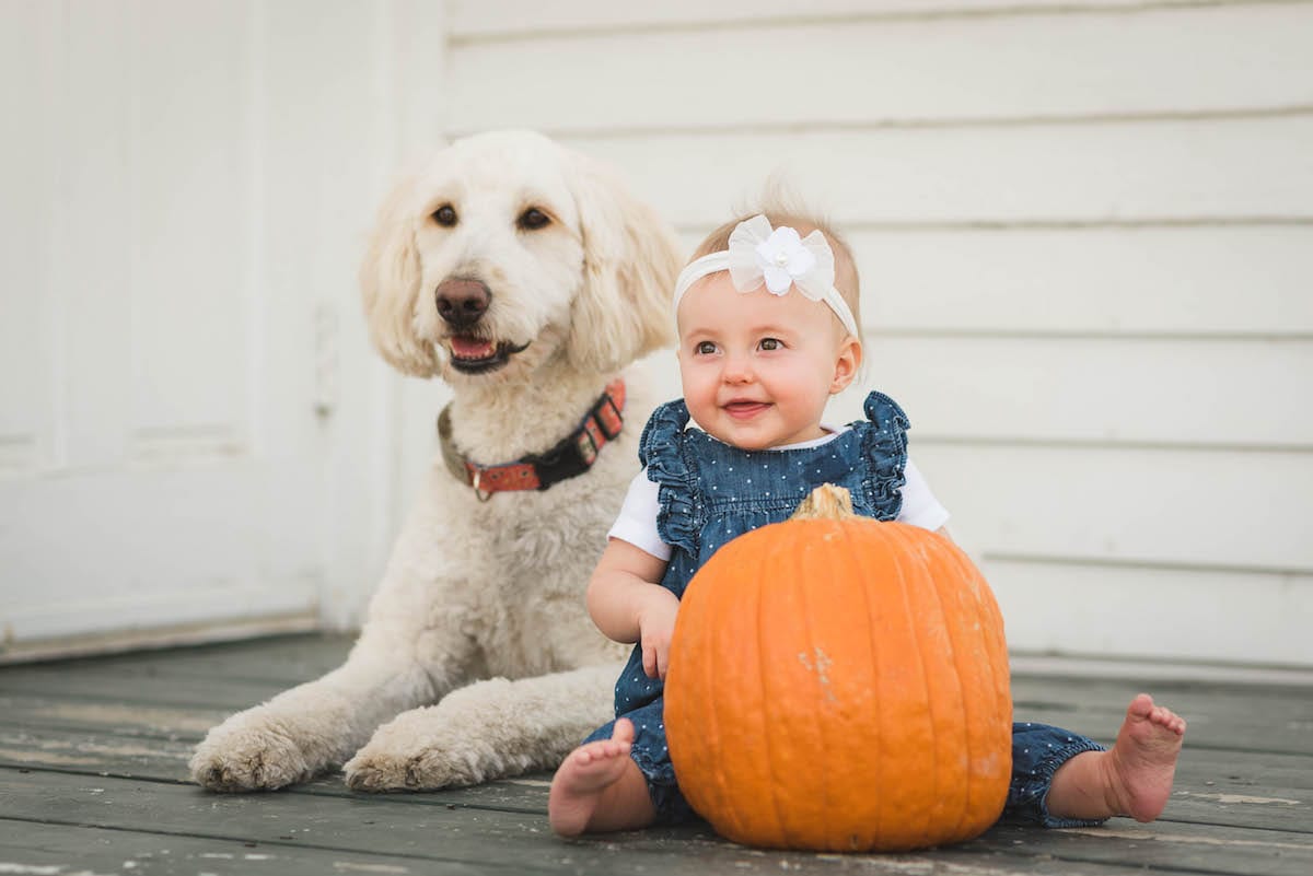 Baby with dog | Pets In Human Photo Session