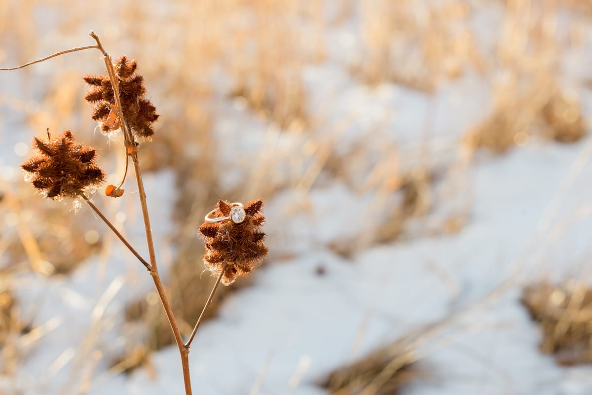 cherry creek state park engagement photos, ring closeup. 