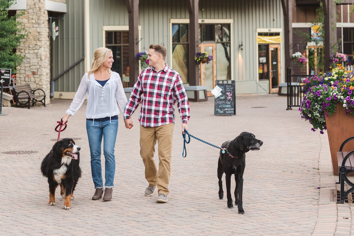 Engagement portrait with dogs | Pets In Human Photo Session