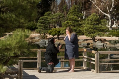 denver botanical gardens proposal