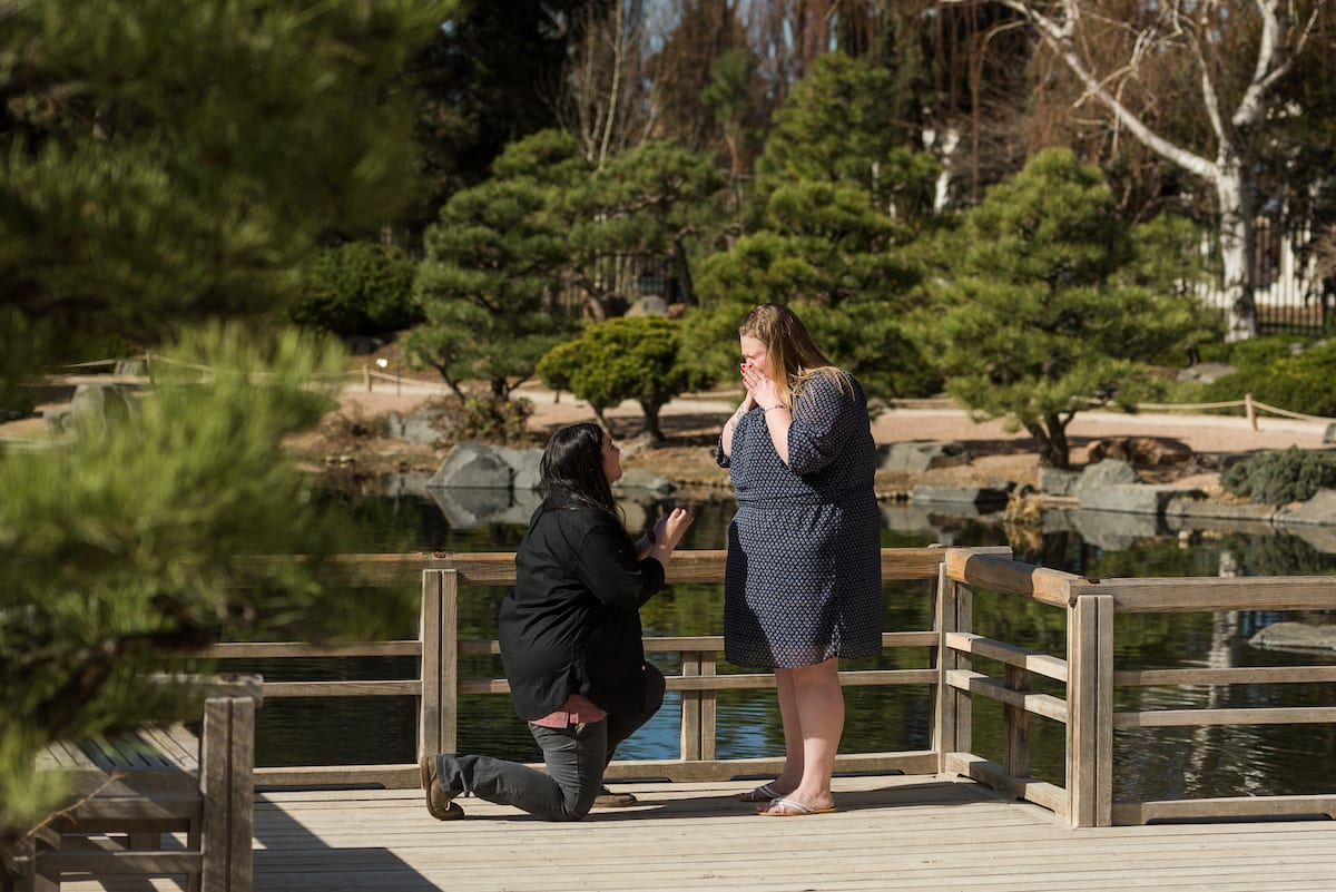 denver botanical gardens proposal