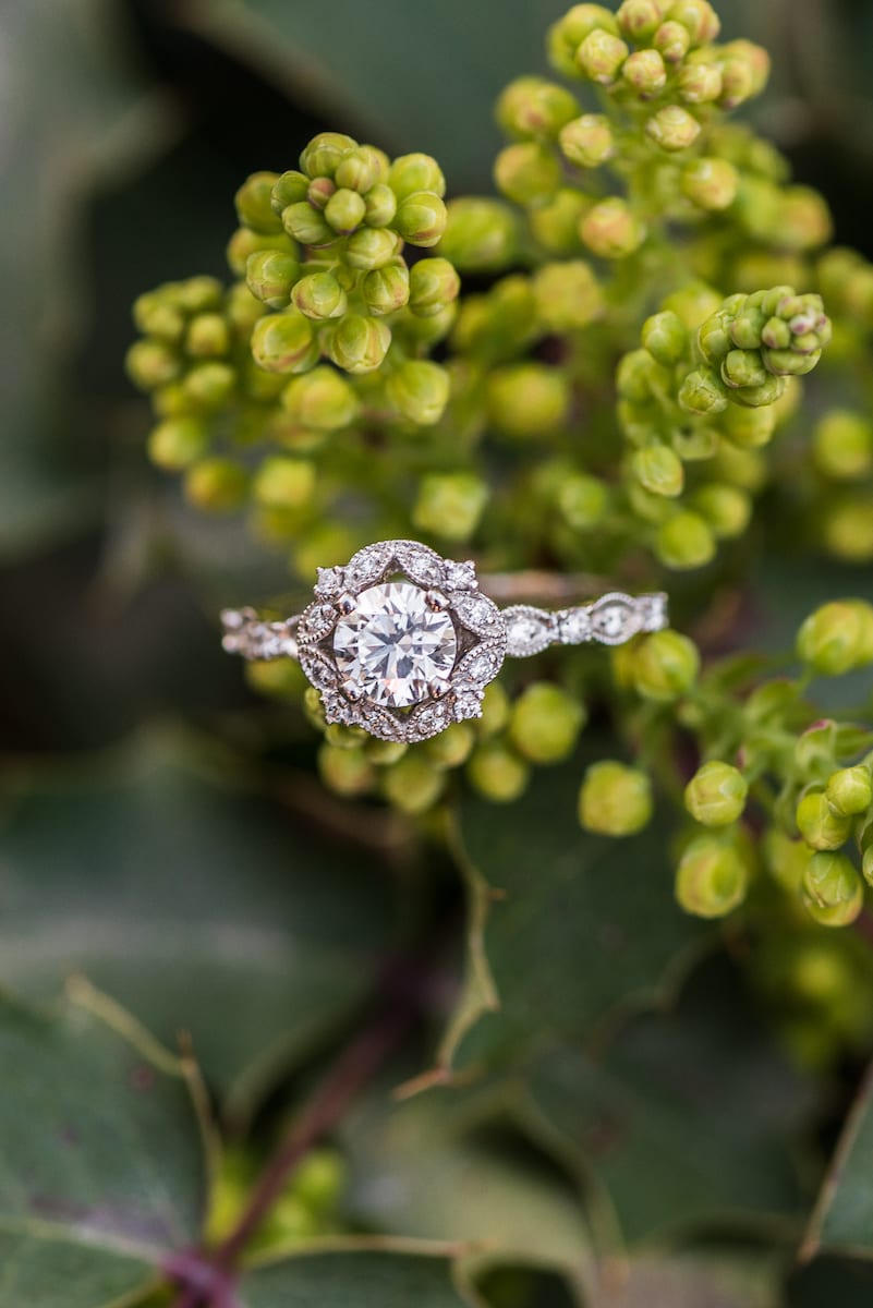 denver botanical gardens proposal