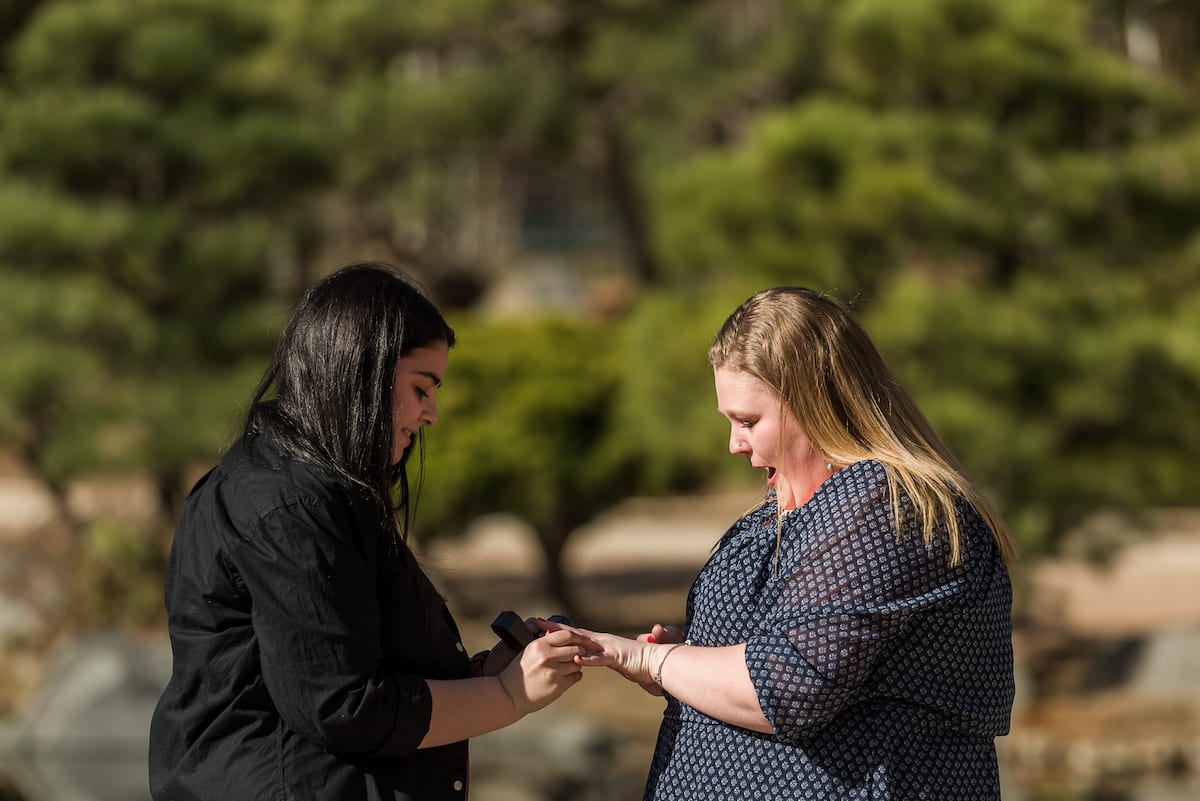 denver botanical gardens proposal