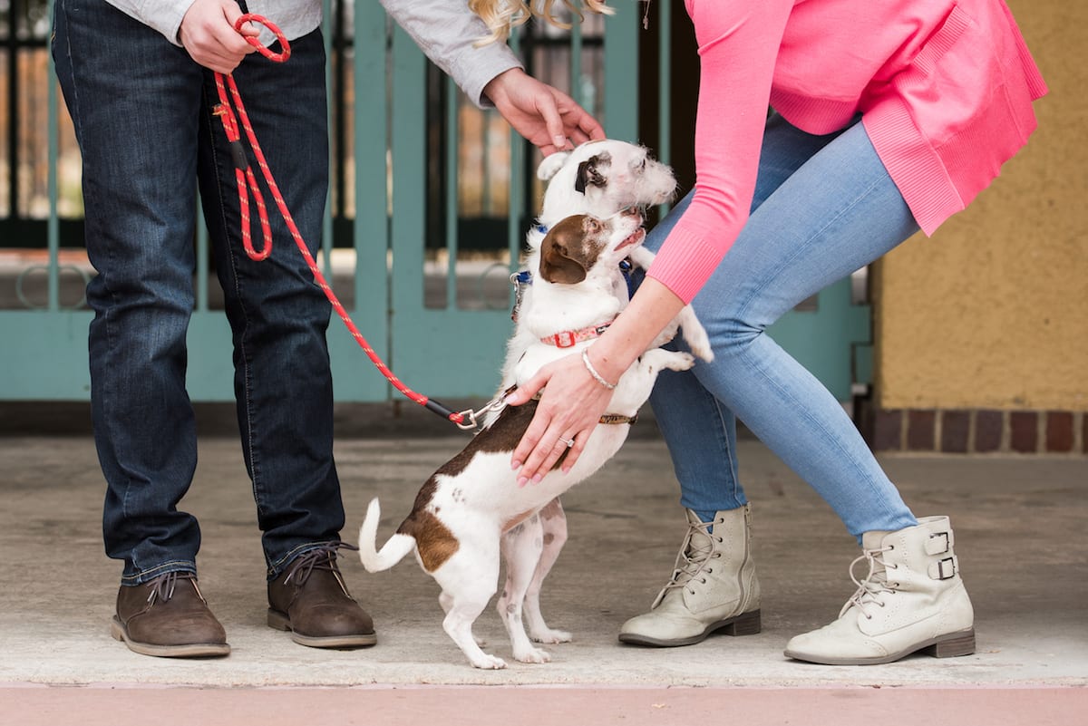 Denver City Park Engagement