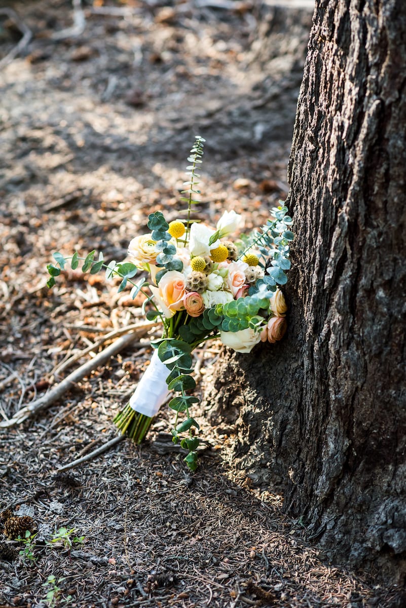 Colorado Wedding | wedding photography | Beaver Ranch | From the Hip Photo