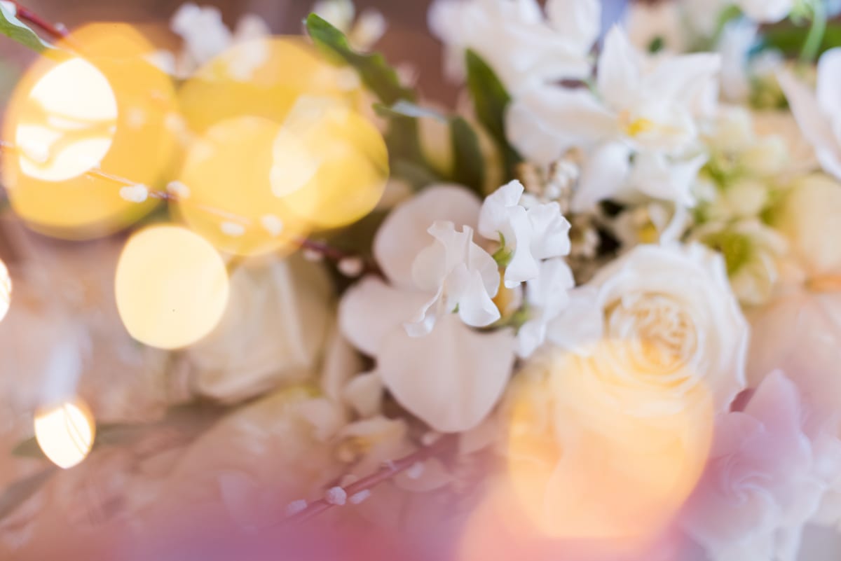 Beware the Friendor | Styled Wedding Photography | Lionsgate | From the Hip Photo