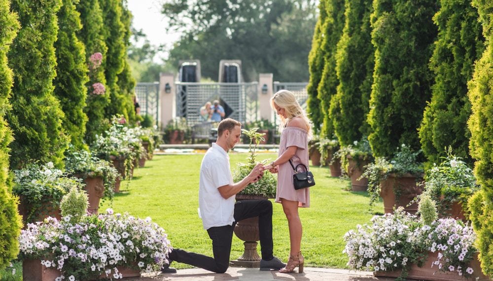 Man gets down on one knee and proposes at Botanic Gardens