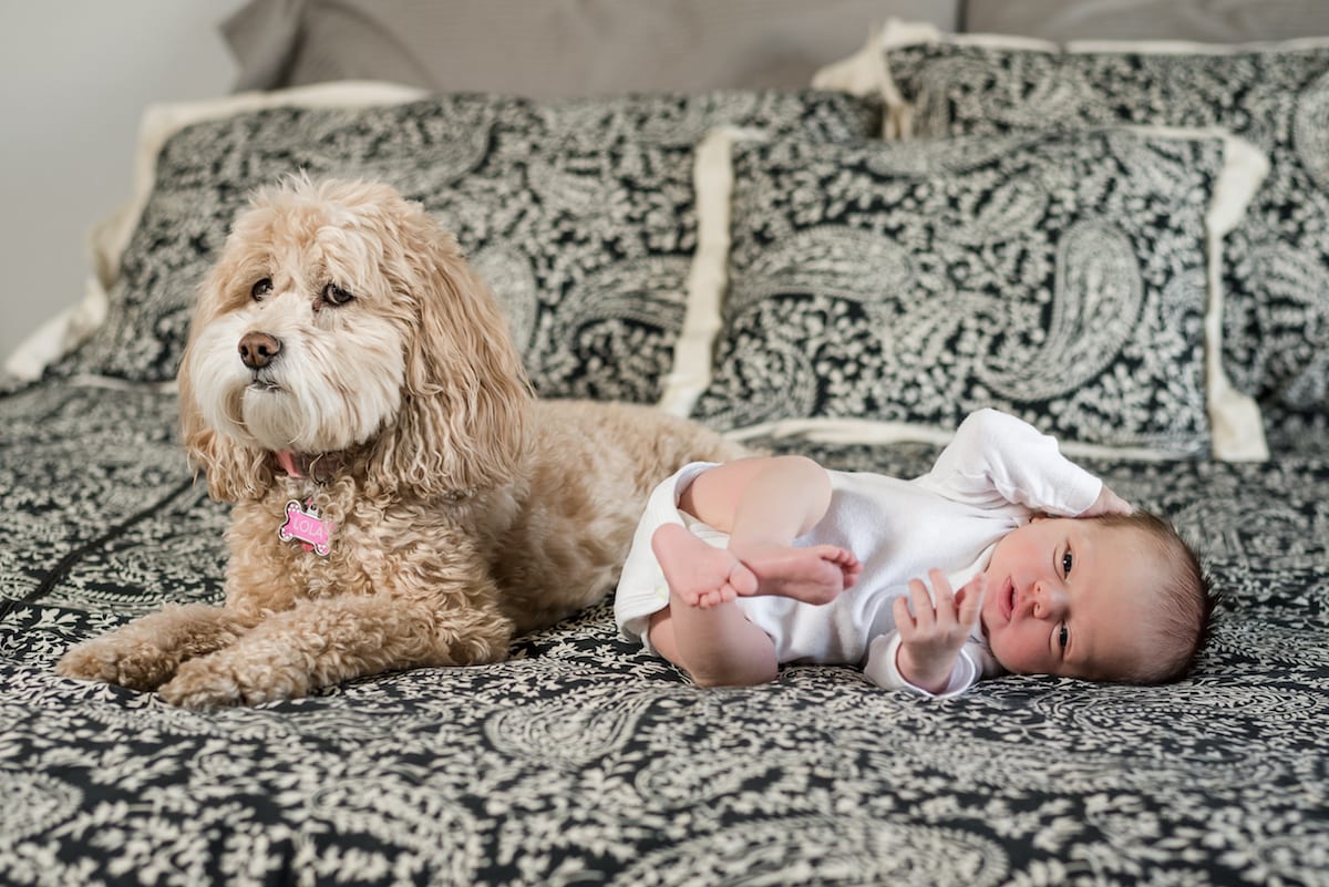 Dog with newborn human