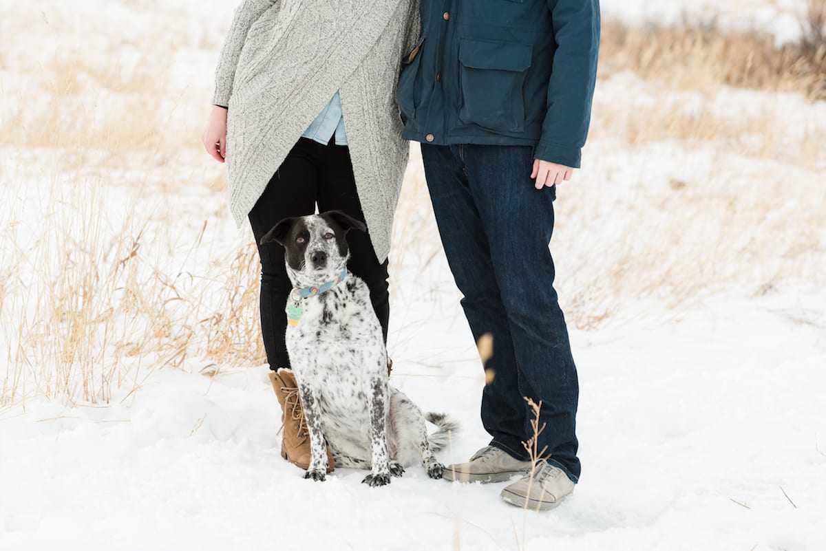 Chautauqua Park Engagement I Engagement Photography I Chautauqua Park I From the Hip Photo