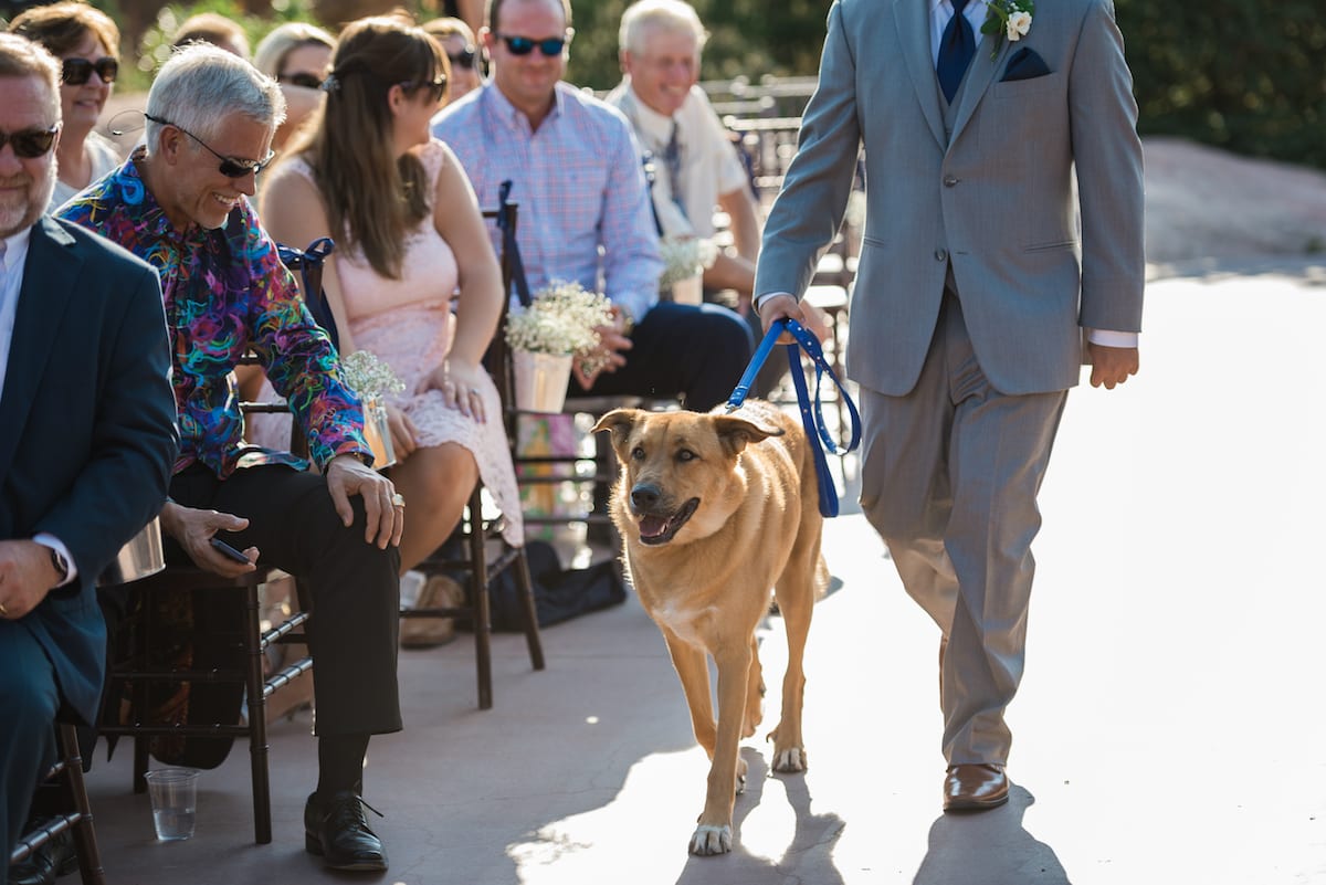 Wedding guests celebrate as couple walks down aisle at Willow Ridge Manor in Morrison