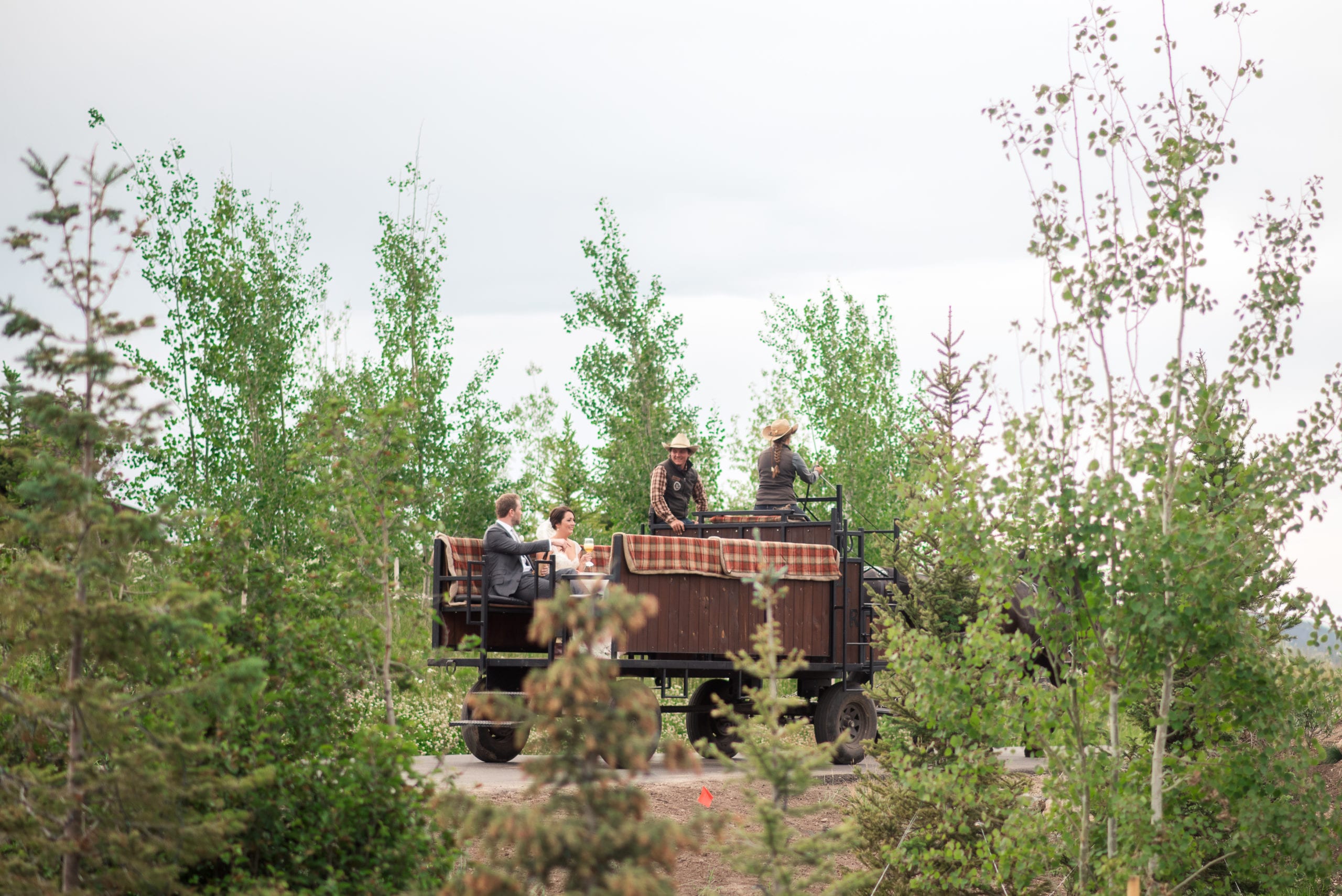 Wedding couple walking together through a sunlit meadow at Devil's Thumb Ranch Resort