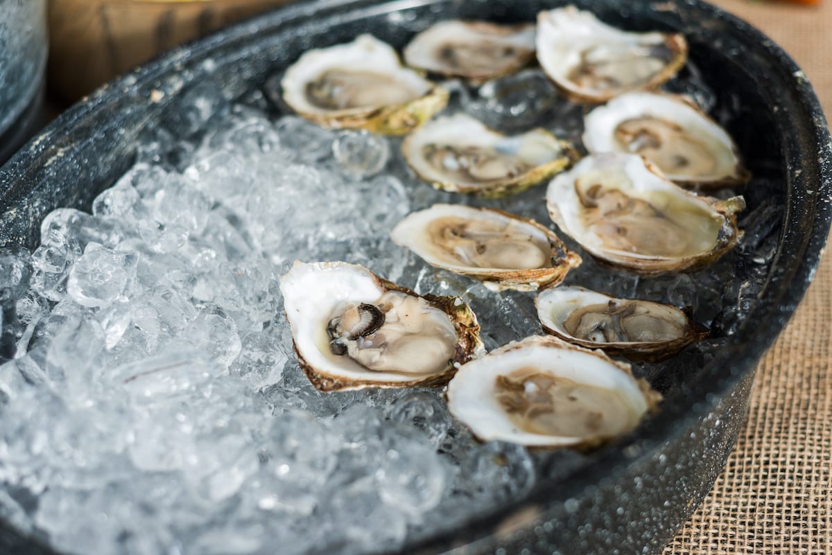 Wine at the Mine| Event Photography | Aspen | From the Hip Photo 