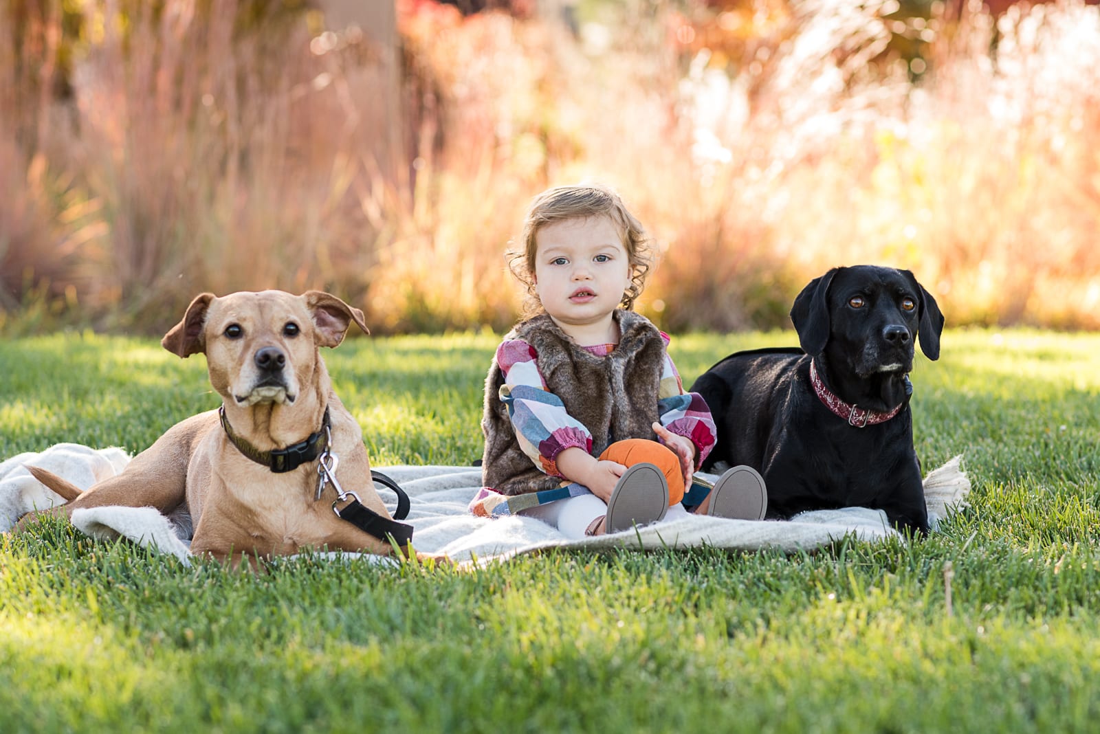 family photo | Family Photography | Westerly Creek Park | From the Hip Photo