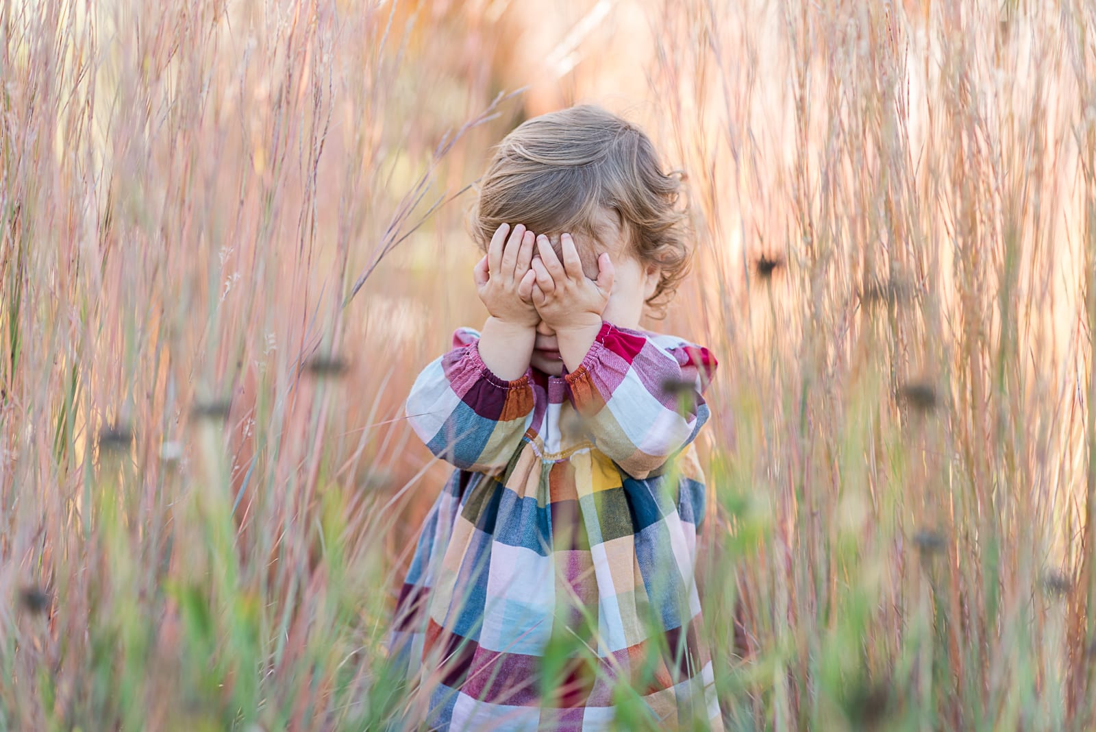 family photo | Family Photography | Westerly Creek Park | From the Hip Photo