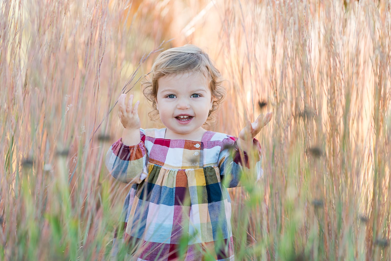 family photo | Family Photography | Westerly Creek Park | From the Hip Photo