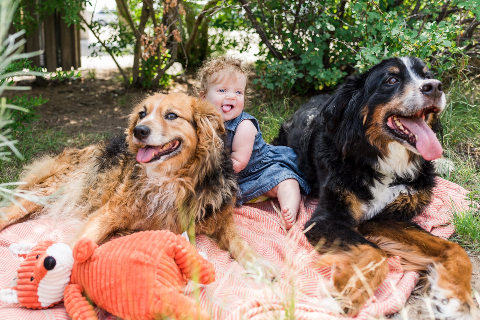 August Bliss | Family Photo | Bluff Lake | From the Hip Photo
