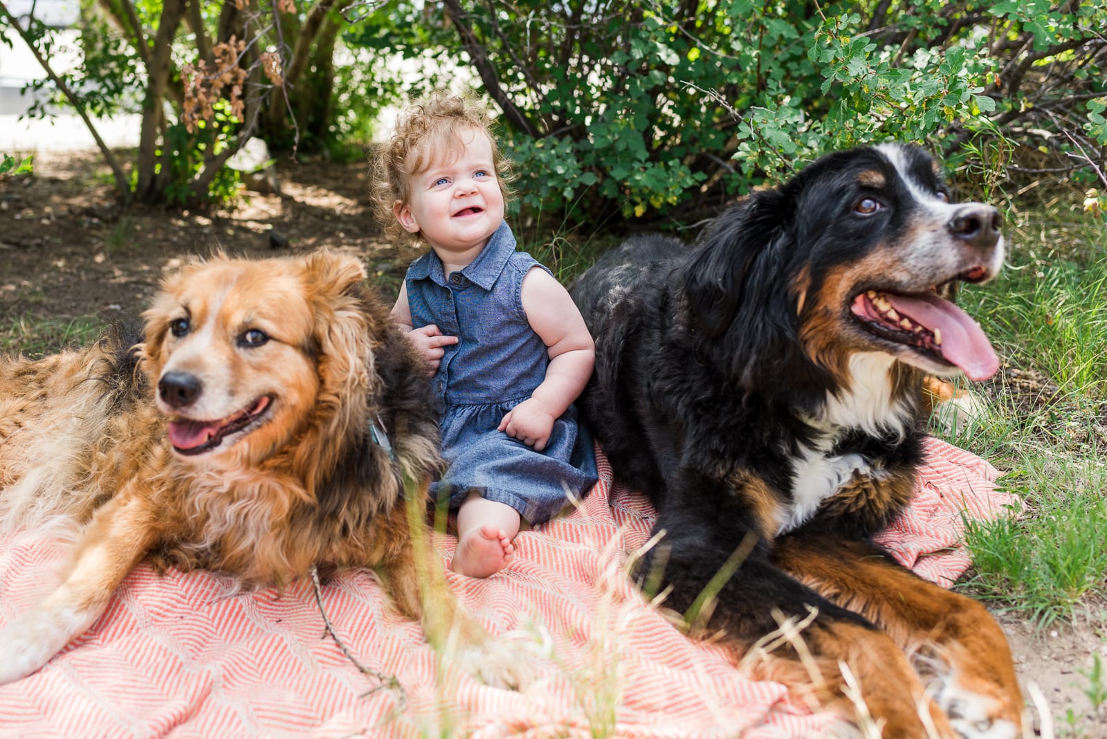 August Bliss | Family Photo | Bluff Lake | From the Hip Photo