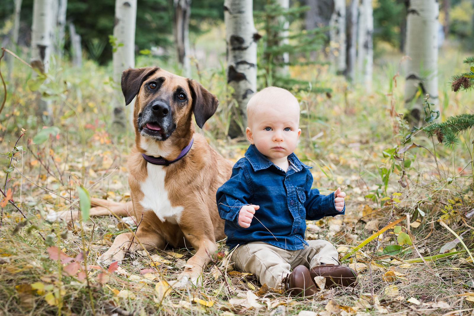 The Grimes Family | Family | Meyer Ranch Park | From the Hip Photo 
