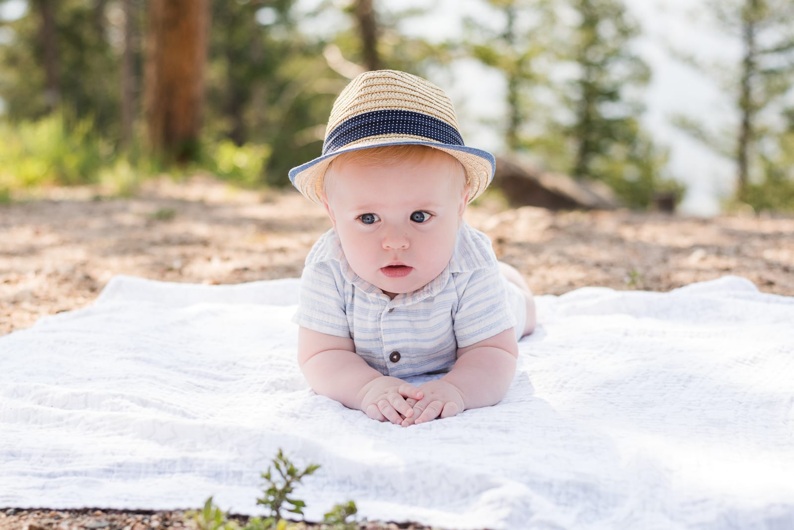A Family with Flare | Family Photo | Lookout Mountain | From the Hip Photo