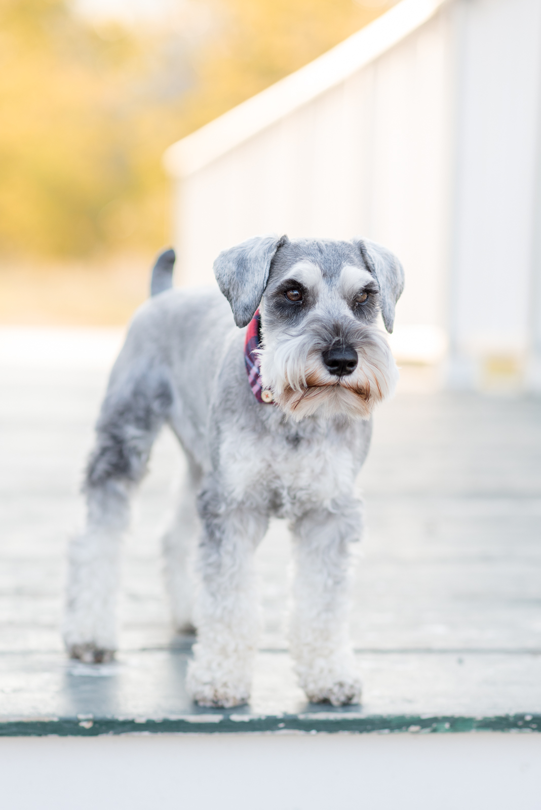 Maureen & Andres | Engagement Photo | Clear Creek Trail | From the Hip Photo