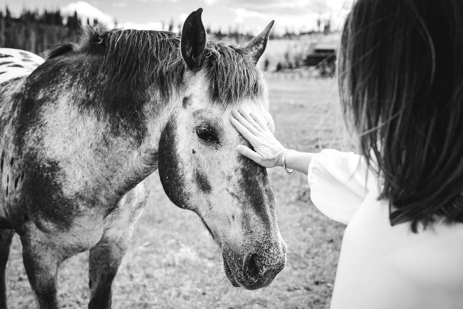 An Exceptional Devil's Thumb Wedding | Wedding Photo | Devil's Thumb Ranch| From the Hip Photo