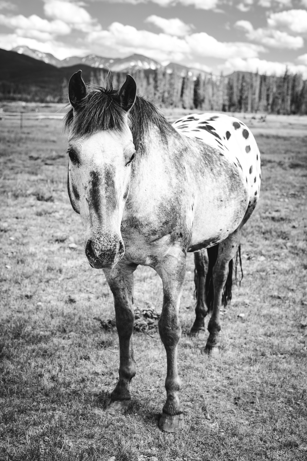 An Exceptional Devil's Thumb Wedding | Wedding Photo | Devil's Thumb Ranch| From the Hip Photo