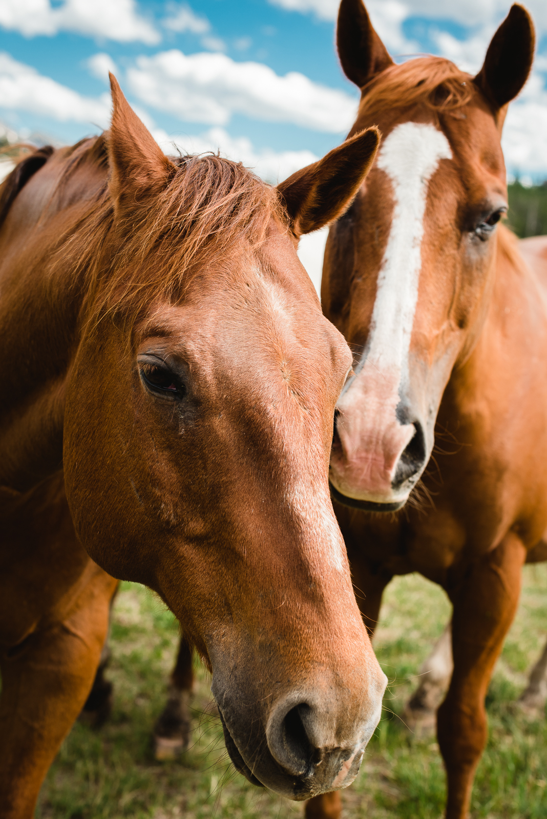 An Exceptional Devil's Thumb Wedding | Wedding Photo | Devil's Thumb Ranch| From the Hip Photo