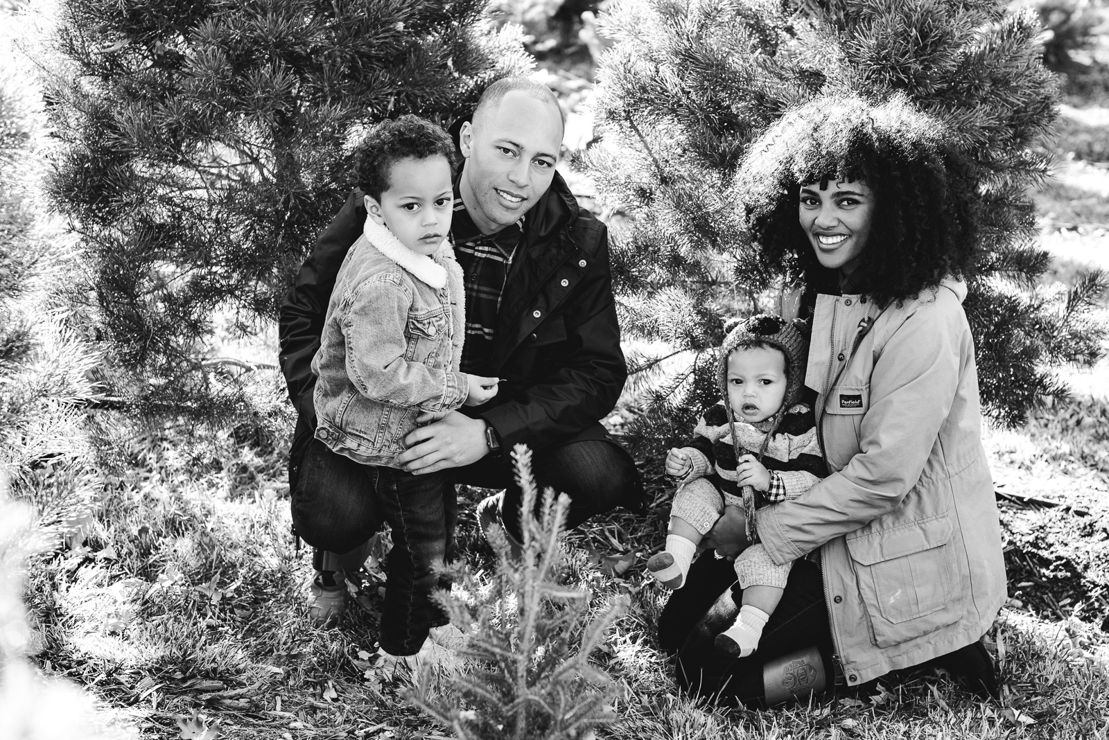 Holiday Fun | Family Photo | Creekside Tree Nursery | From the Hip Photo