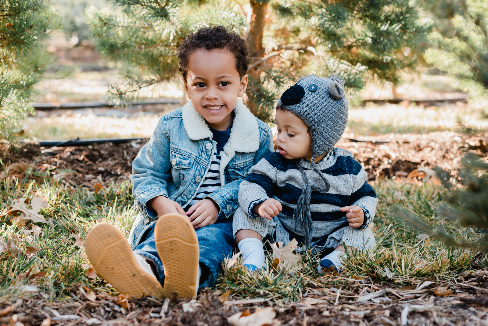 Holiday Fun | Family Photo | Creekside Tree Nursery | From the Hip Photo