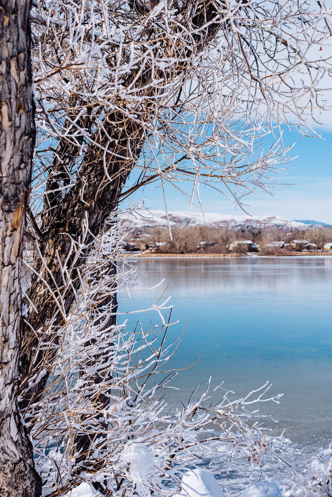 February Snow | Family Photo | Kendrick Lake Park | From the Hip Photo