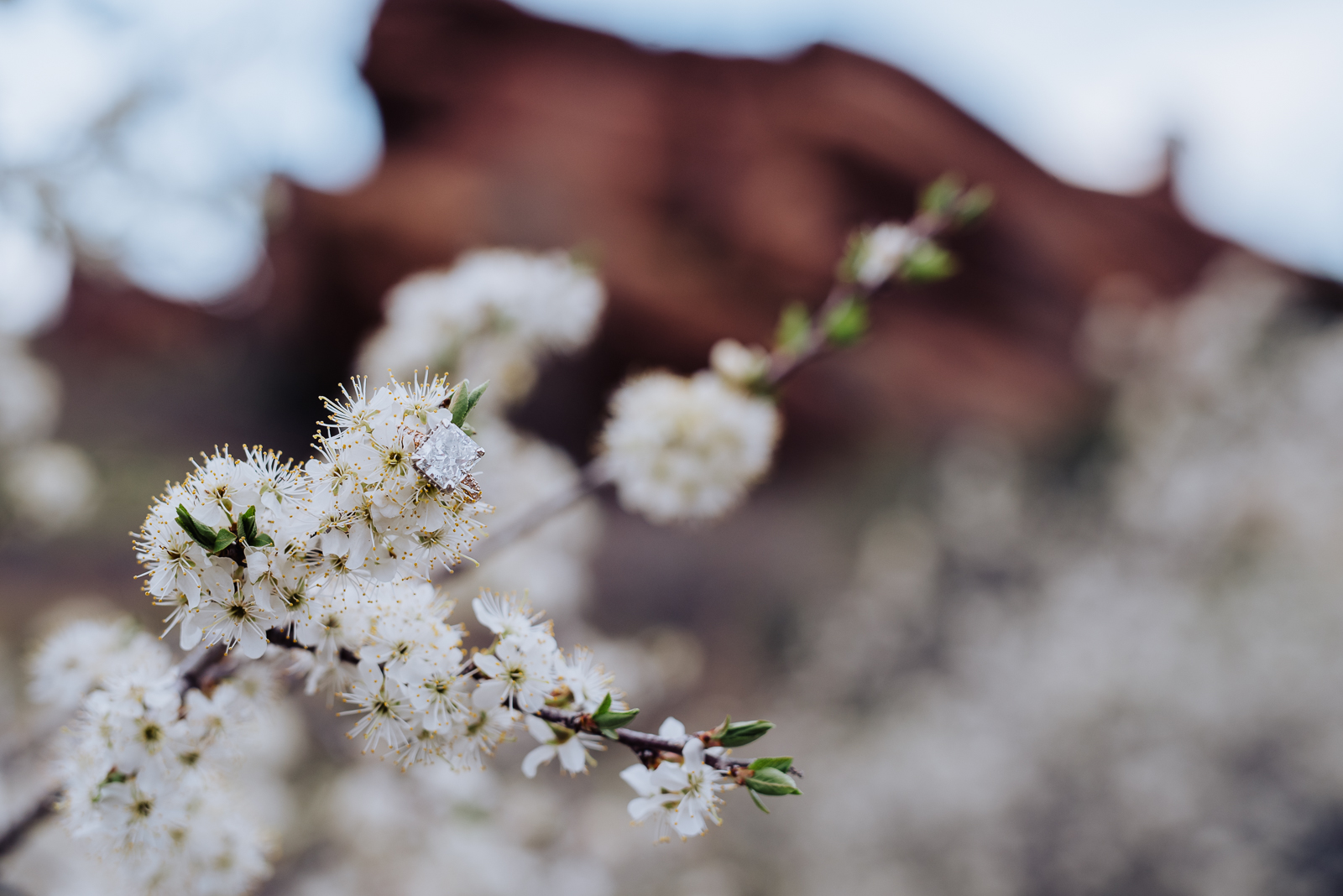 Hannah & Jeff | Engagement Photo | Red Rocks | From the Hip Photo