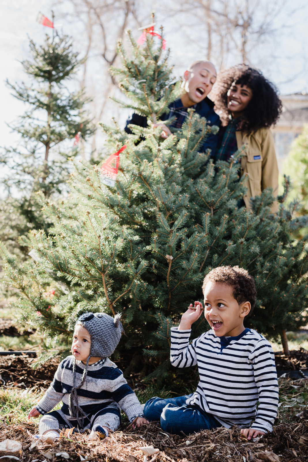 Holiday Fun | Family Photo | Creekside Tree Nursery | From the Hip Photo