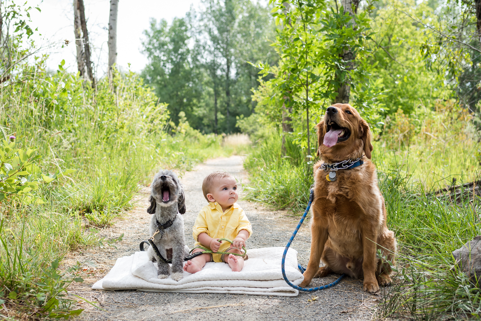 A Summer Stroll | South Mesa Trail Family Photoshoot