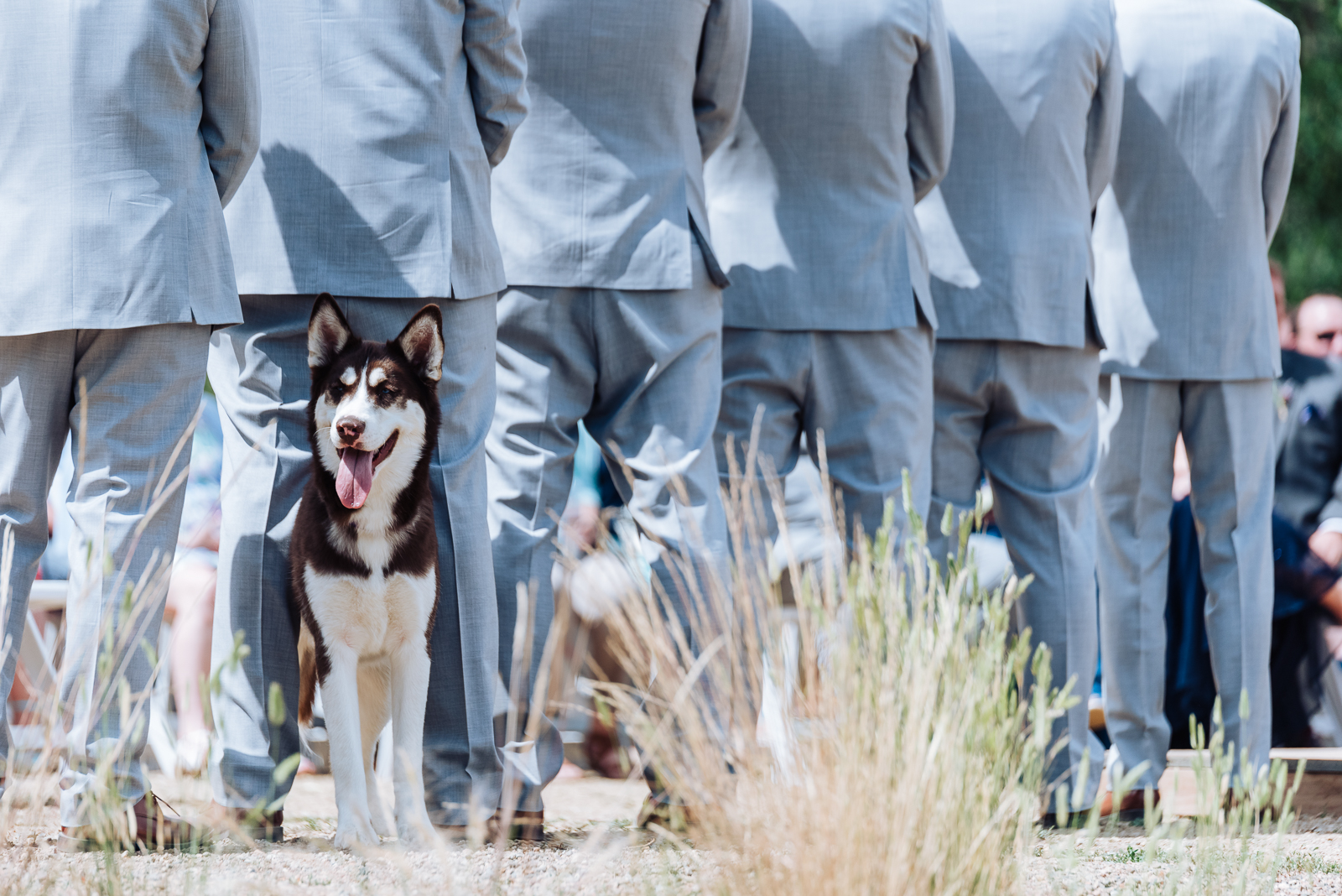A Wedding With a View | Desirae & Niko