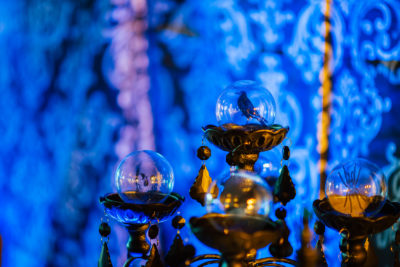 Spooky Times at Chatfield | ILEA at Chatfield Farms