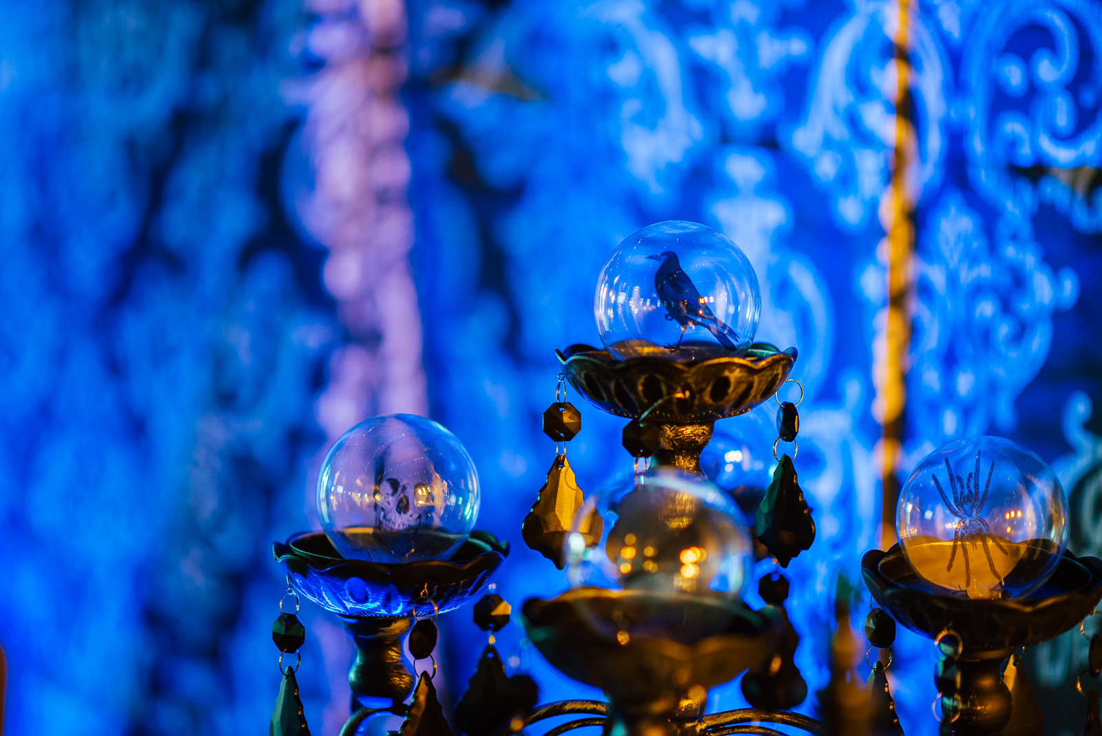 Spooky Times at Chatfield | ILEA at Chatfield Farms