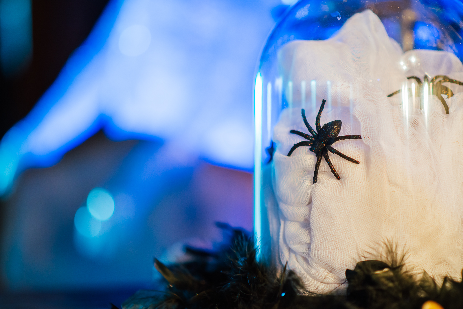 Spooky Times at Chatfield | ILEA at Chatfield Farms