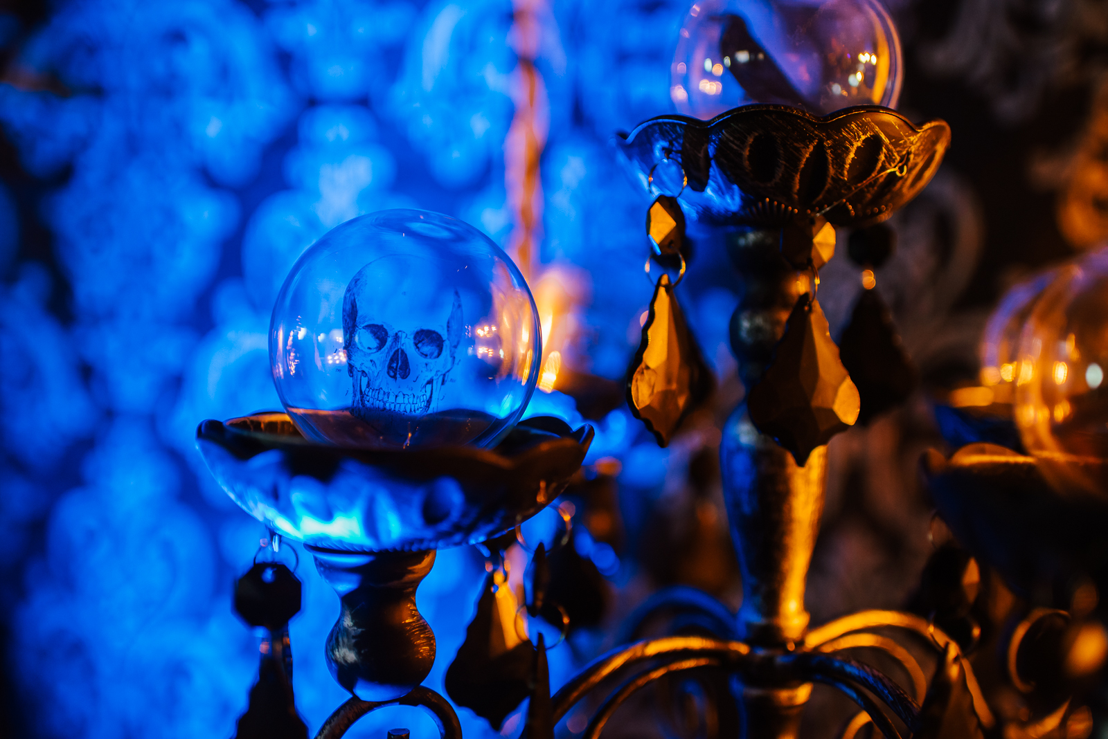 Spooky Times at Chatfield | ILEA at Chatfield Farms