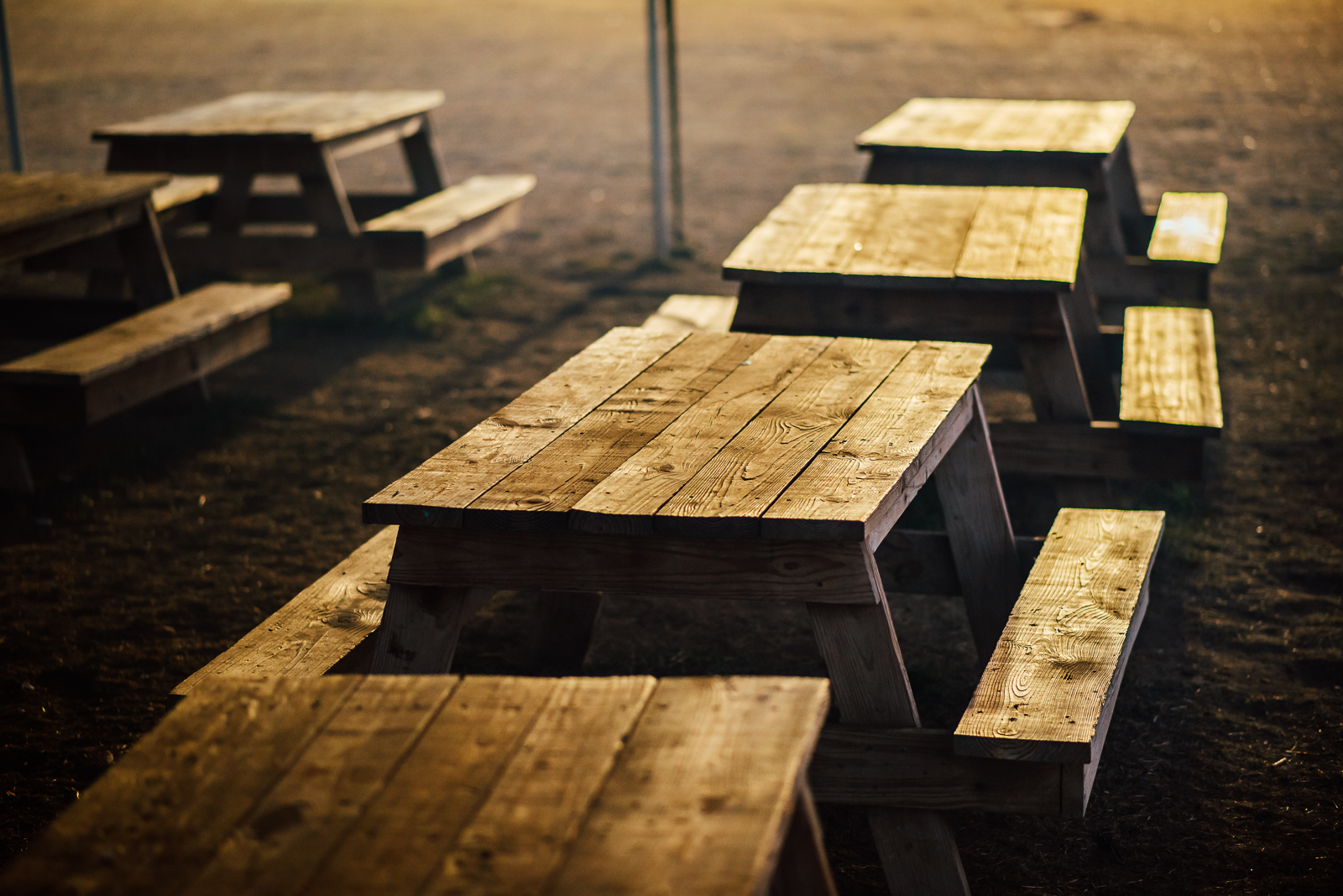 Spooky Times at Chatfield | ILEA at Chatfield Farms