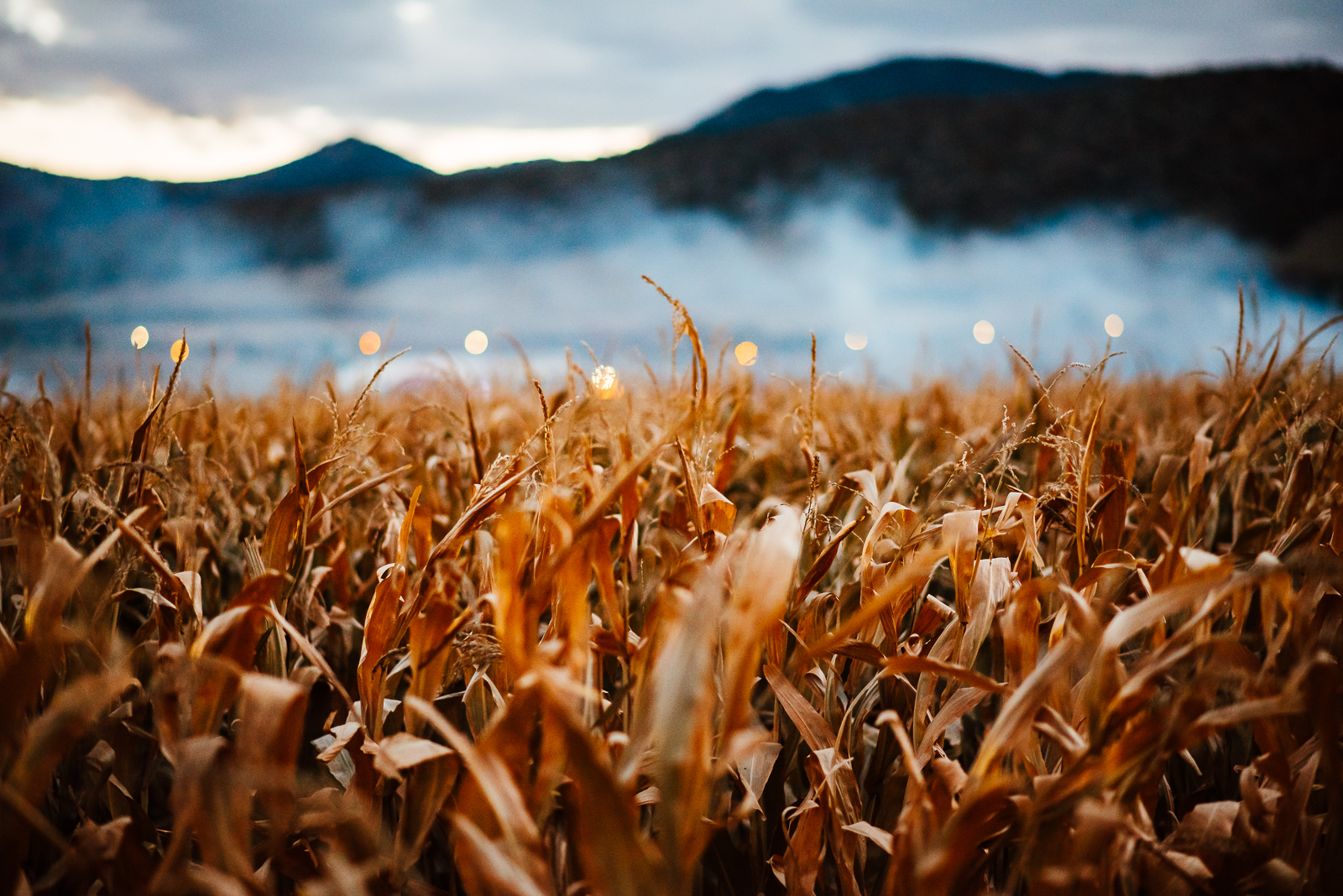Spooky Times at Chatfield | ILEA at Chatfield Farms