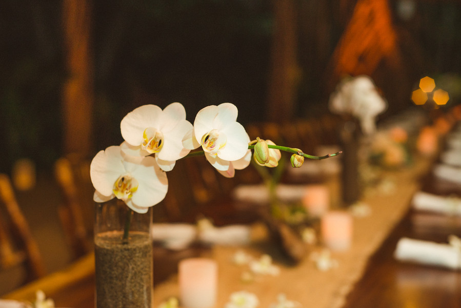 Holzheimer_Allen_Wedding