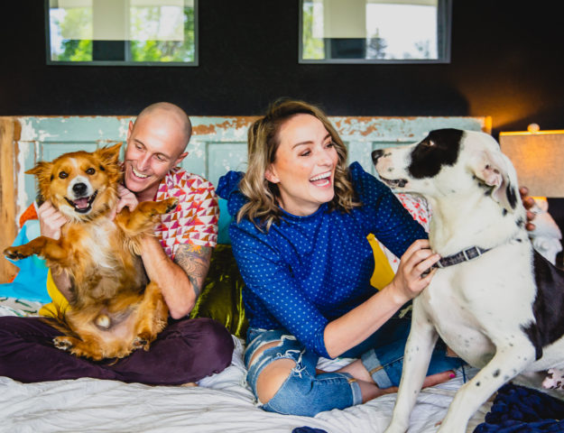 dogs on bed | Downtown Denver Urban Loft