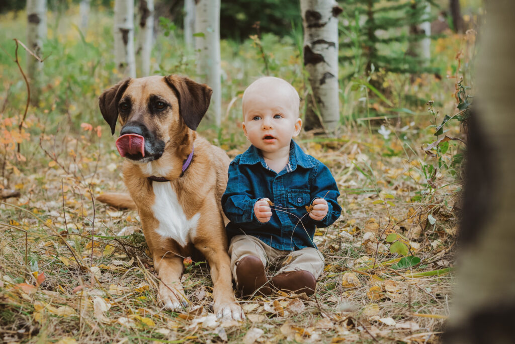 Meyer Ranch Park outdoor mountain trail park adventurous candid fun family picture | From the Hip Photo Denver Colorado portrait photography 