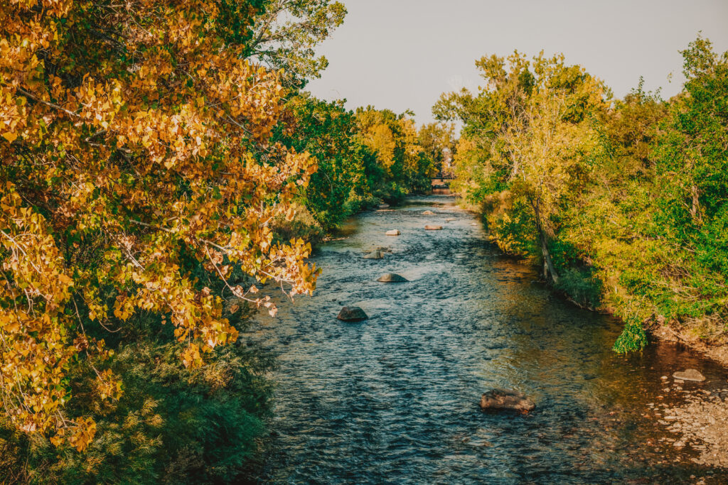 Golden History Park Outdoor Water Nature Candid Picture | From the Hip Photo Denver Colorado Photography Portraits